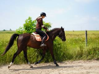 Trening personalny dla  jeźdźców