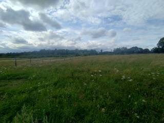 Pastwisko lipiec-sierpien 2026