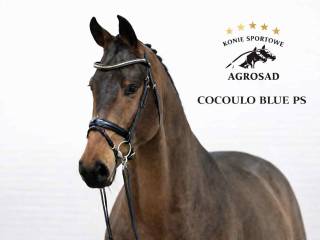 COCOULU BLUE