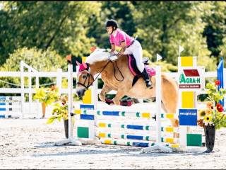 Haflinger sportowy Kuc grupa D