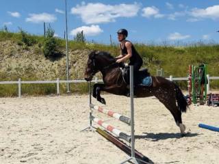 Klacz do ambitnej rekreacji