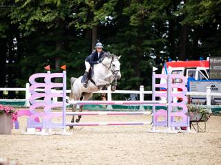 Skoczna klacz po Tjungske /Carthago Z