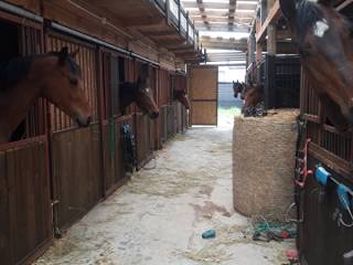 Luzak oraz jeździec