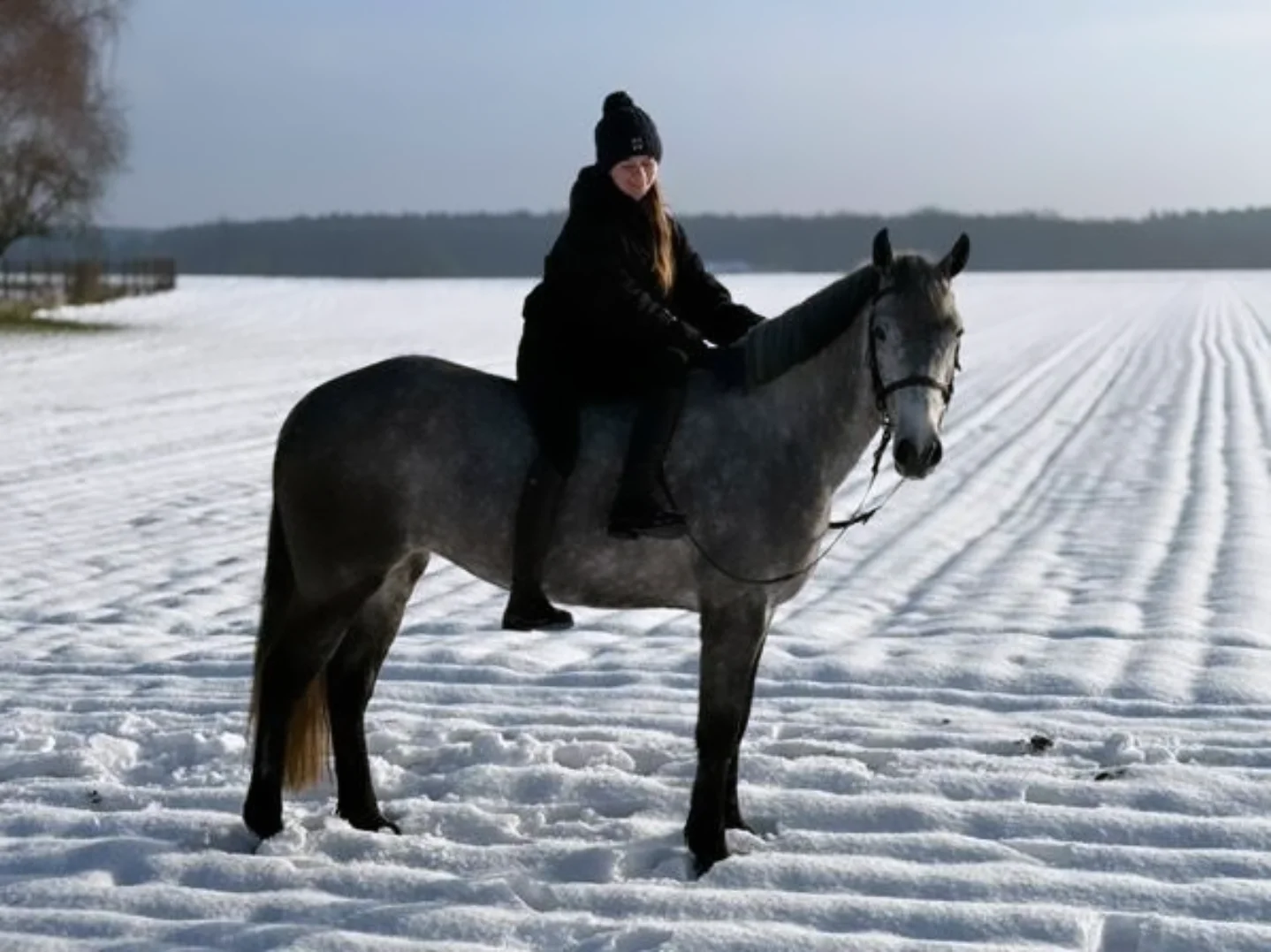 Klacz D grupa na duże konkursy