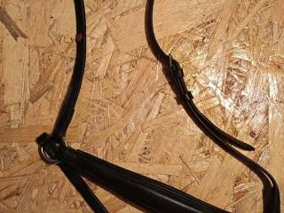 Nachrapnik czarny cob