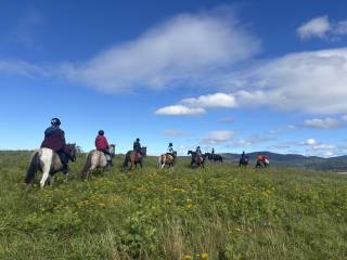 TREC - szkolenie - koń i jeździec w terenie 28-29.03.2026