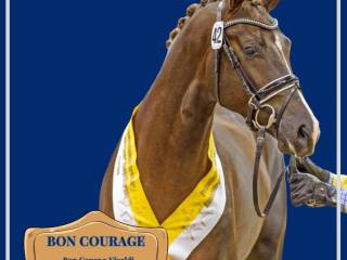 BON COURAGE Ogier hodowlany – sezon 2026
