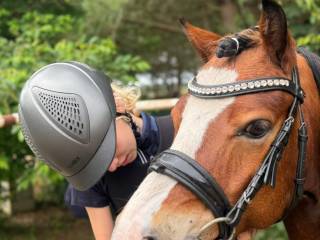 Kuc do dzierżawy Serock