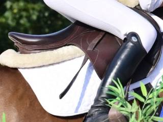 Siodło Prestige Versailles