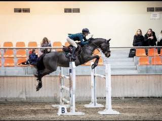 Przyjmę konie w trening lub najwiążę współpracę ze stajnią sportową