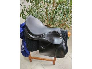 Skokowe Daw Mag Grand Prix  z 2024 roku