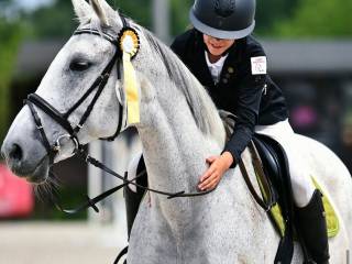 Bezpieczna klacz dla początkujących skoczków | Dzierżawa
