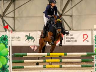 Klacz na przesiadkę z kucy do wygrywania