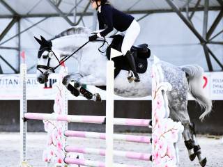 Klacz do sportu dla amatora