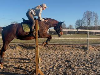 Zamienię lub ewentualnie sprzedam