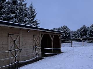 Pensjonat wolny wybieg