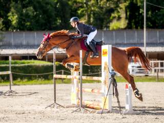Klacz dla amatora/do szkółki/również dla mężczyzny!