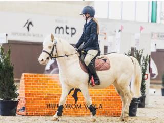 Poszukiwany Instruktor Jazdy Konnej !!!!