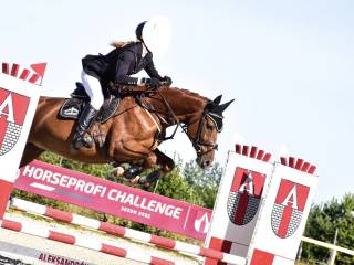 Sprzedam siedmio letnią klacz (Tjungske/Landino)