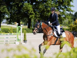 Profesor do wprowadzenia w sport