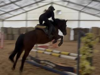 Kuc do rekreacji!!!!!!