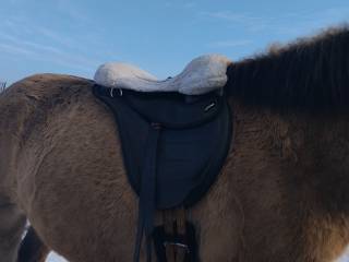 Siodło bezterlicowe barefoot