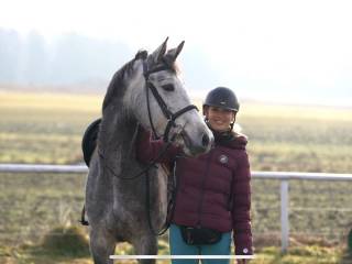Kompleksowe usługi jeździeckie (zajeżdżanie/korekta, trening par, golenie)