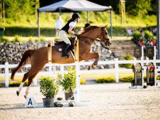 Klacz do sportu po Zinedine