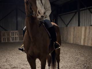 Cudowna kasztanka na sprzedaż