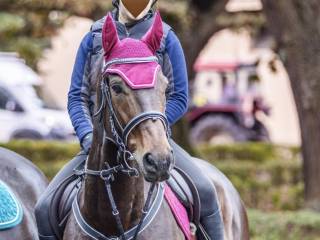 Dzierzawa bez przeniesienia