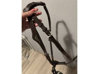 Napierśnik equiline