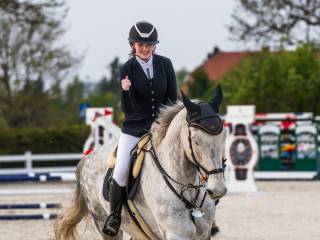 Duży koń do wprowadzenia w sport