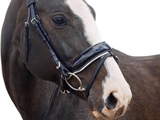 Ogłowie anatomiczne balotade