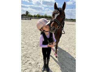 Turbo sportowy kuc walijski Roxi