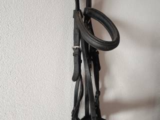 3 Ogłowia + 2 napierśniki + 2 wodze + puśliska