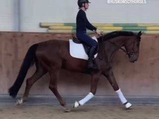 ✨Maracanã x Hochadel x Don Frederico✨