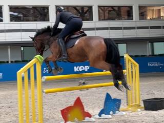 PILNA SPRZEDAZ/ 7 latek