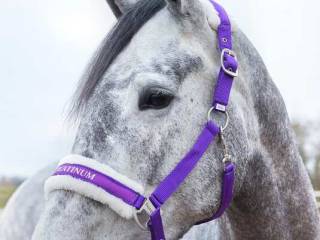 Kantar Howard Halter Horze, Full