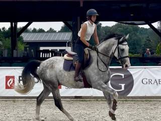 Ogier chwytający za oko