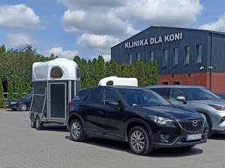 Transport koni Olsztyn