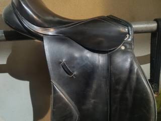 Siodło Kentaur Seneka