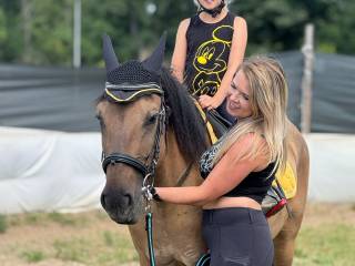 Dzierżawa konia Dolny Śląsk Wrocław okolice