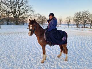 sprzedam pięknego kuca bardzo miłego w obsłudze