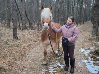 Świetna klacz do dzierżawy