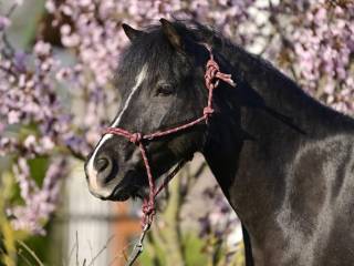 Vice Mistrzyni Polski Wschodniej