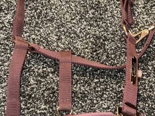 Kantar Eskadron heritage