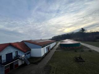 Stajenny z zamieszkaniem - Mierzeszyn, Pomorskie k. Gdańska