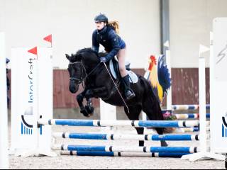 (Cena tylko do końca miesiąca!) kuc koń z wielkim sercem