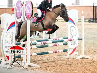 Doświadczony kuc dla dziecka