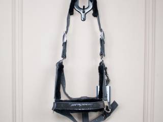 Kantary Hv polo full